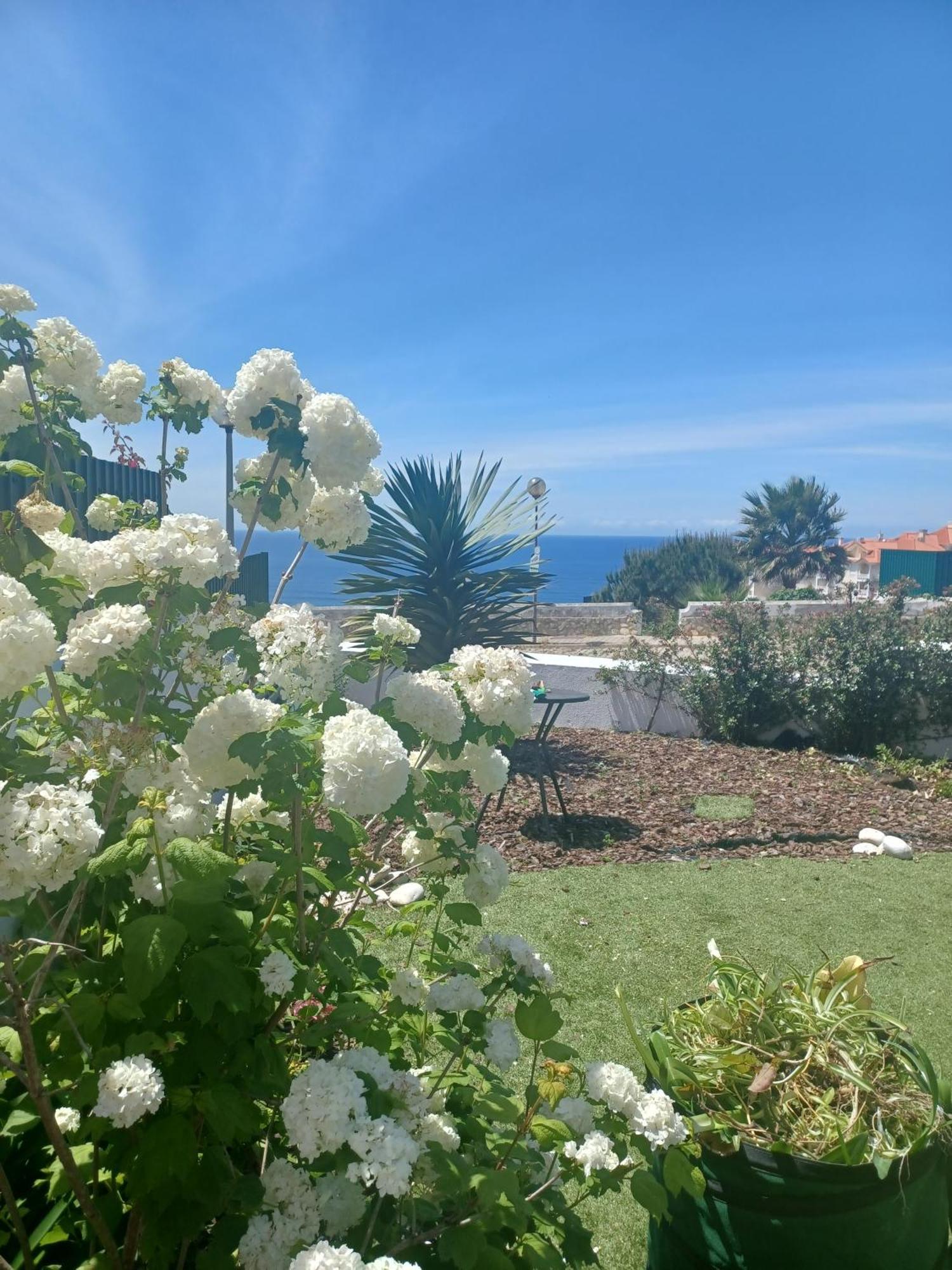 Ericeira Su Villa'S Exteriör bild