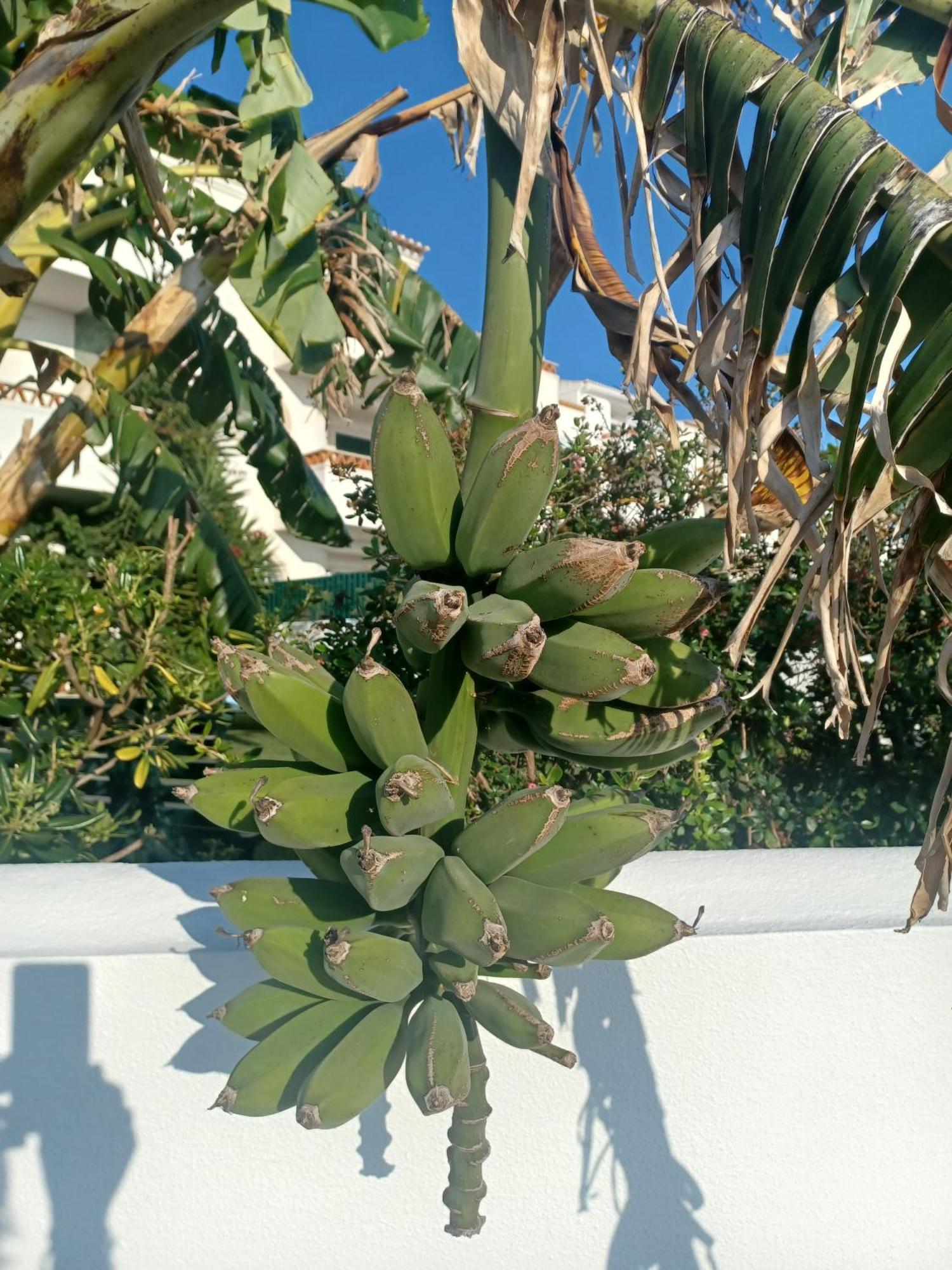Ericeira Su Villa'S Exteriör bild