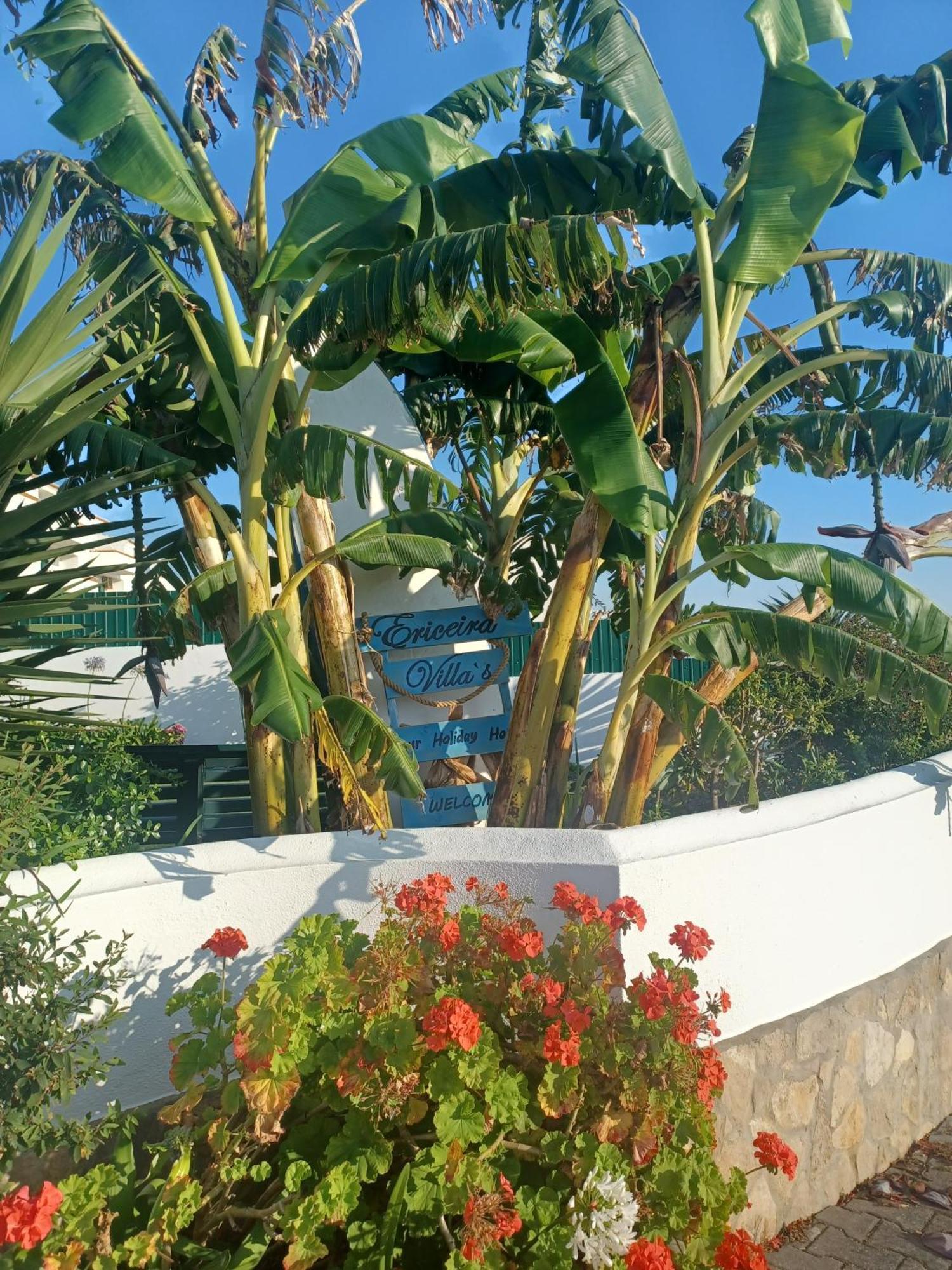 Ericeira Su Villa'S Exteriör bild