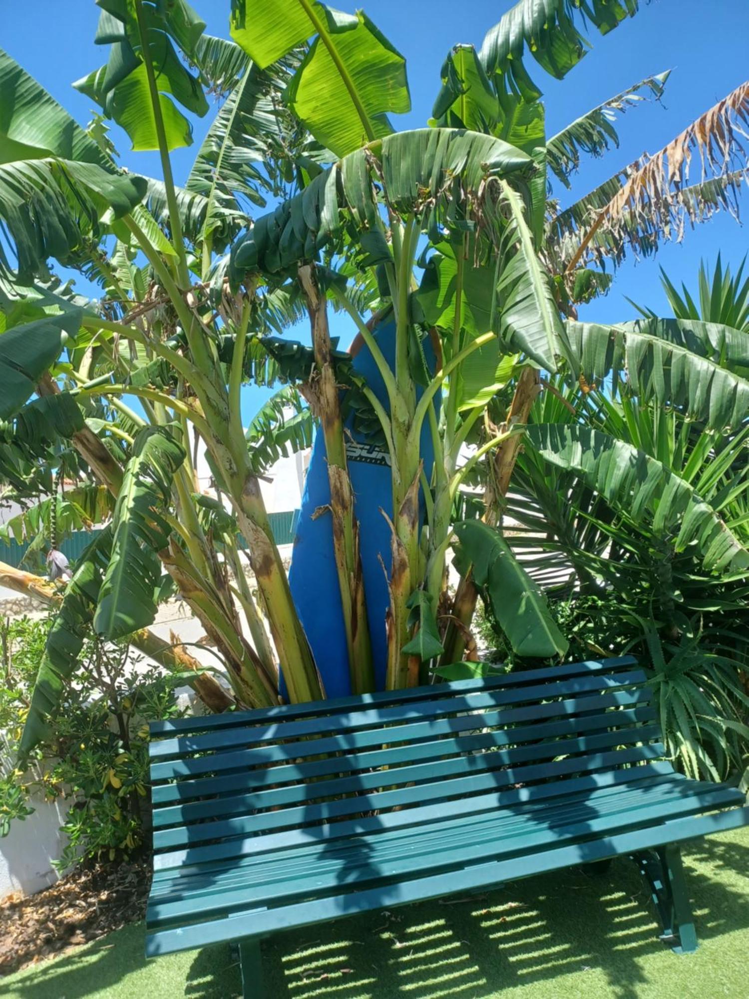 Ericeira Su Villa'S Exteriör bild