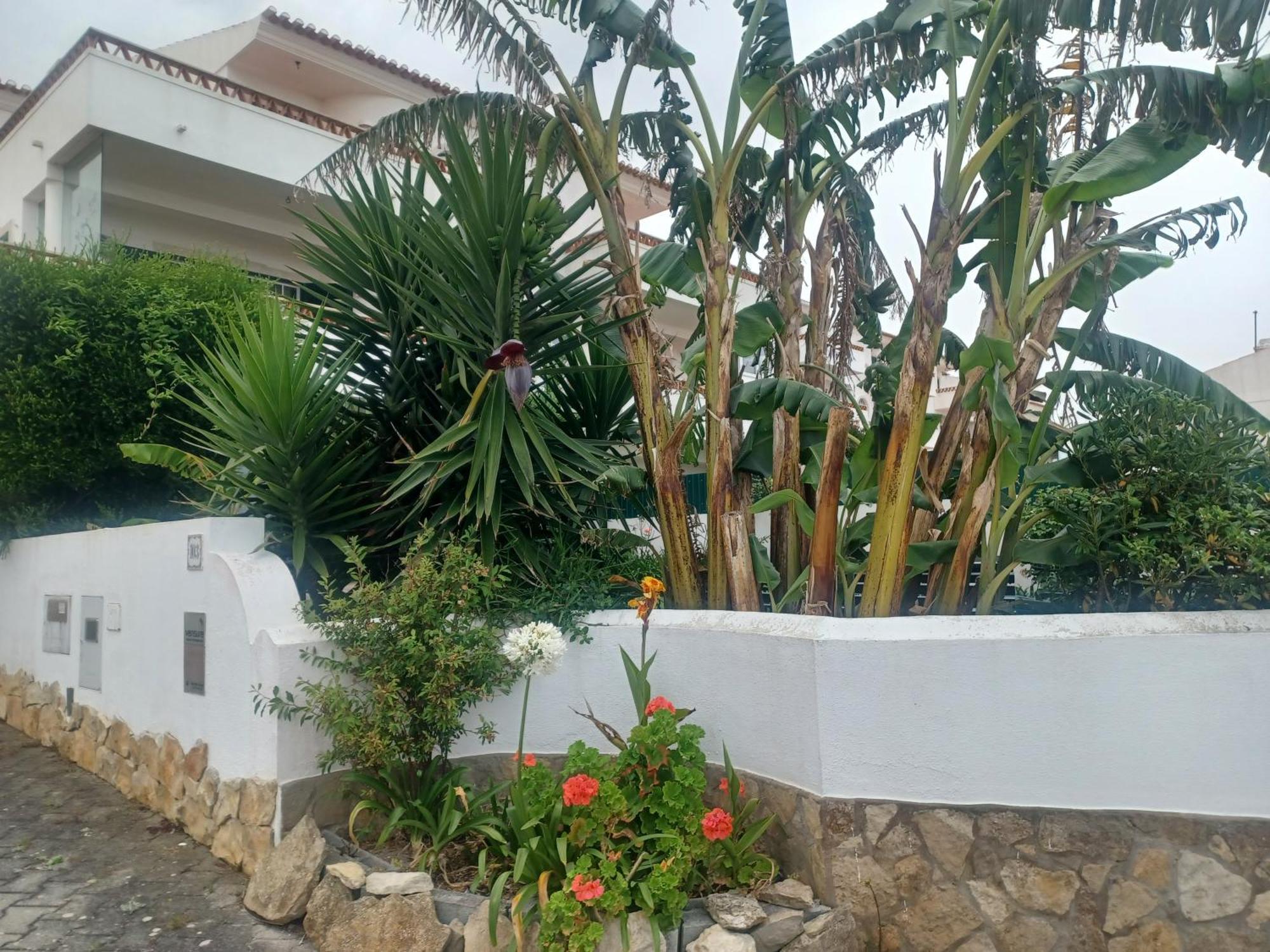 Ericeira Su Villa'S Exteriör bild